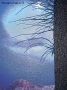 Prossima Foto: Elaborazioni