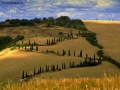 ...a zig zag per le colline senesi....