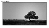 Prossima Foto: Sicilia