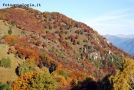 Foto Precedente: i colori dell' autunno