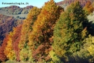 Foto Precedente: i colori d'autunno 2
