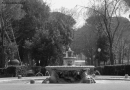 fontana dei pesci marini