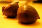 castagne