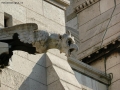 Prossima Foto: Gargoyle di Montmartre