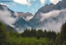 Prossima Foto:  mattino sul bosco