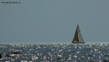 Prossima Foto: barca al tramonto
