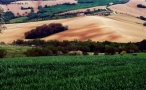Prossima Foto: colline3