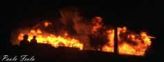 Prossima Foto: Fuoco a Golfo Aranci