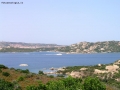 Foto Precedente: vicino capo d'orso