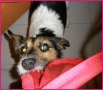 Prossima Foto:  mio!!!