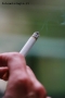 Foto Precedente: Smoking