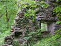 Prossima Foto: c'era una casa nel bosco...