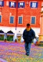 Prossima Foto: Saturation