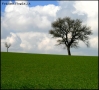 Prossima Foto: Lontani