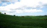 Foto Precedente: colline 5