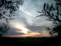 Prossima Foto: tranquillit