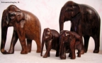 Foto Precedente: Elefanti