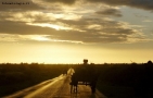 Foto Precedente: verso il tramonto
