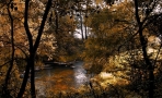 Foto Precedente: autunno