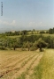 Foto Precedente: terra d'Abruzzo