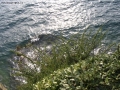 Prossima Foto: Lago di Como