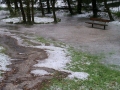 Prossima Foto: psychedelic park