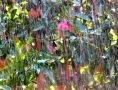 Prossima Foto: pioggia nel frutteto