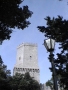 Foto Precedente: Erice - Castello di Venere