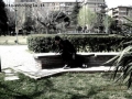 Foto Precedente: artist