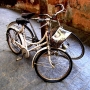 Prossima Foto: bici in citt