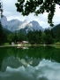 Foto Precedente: Pale di San Martino